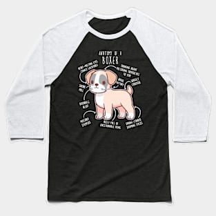 Boxer Dog Fawn Anatomy Baseball T-Shirt